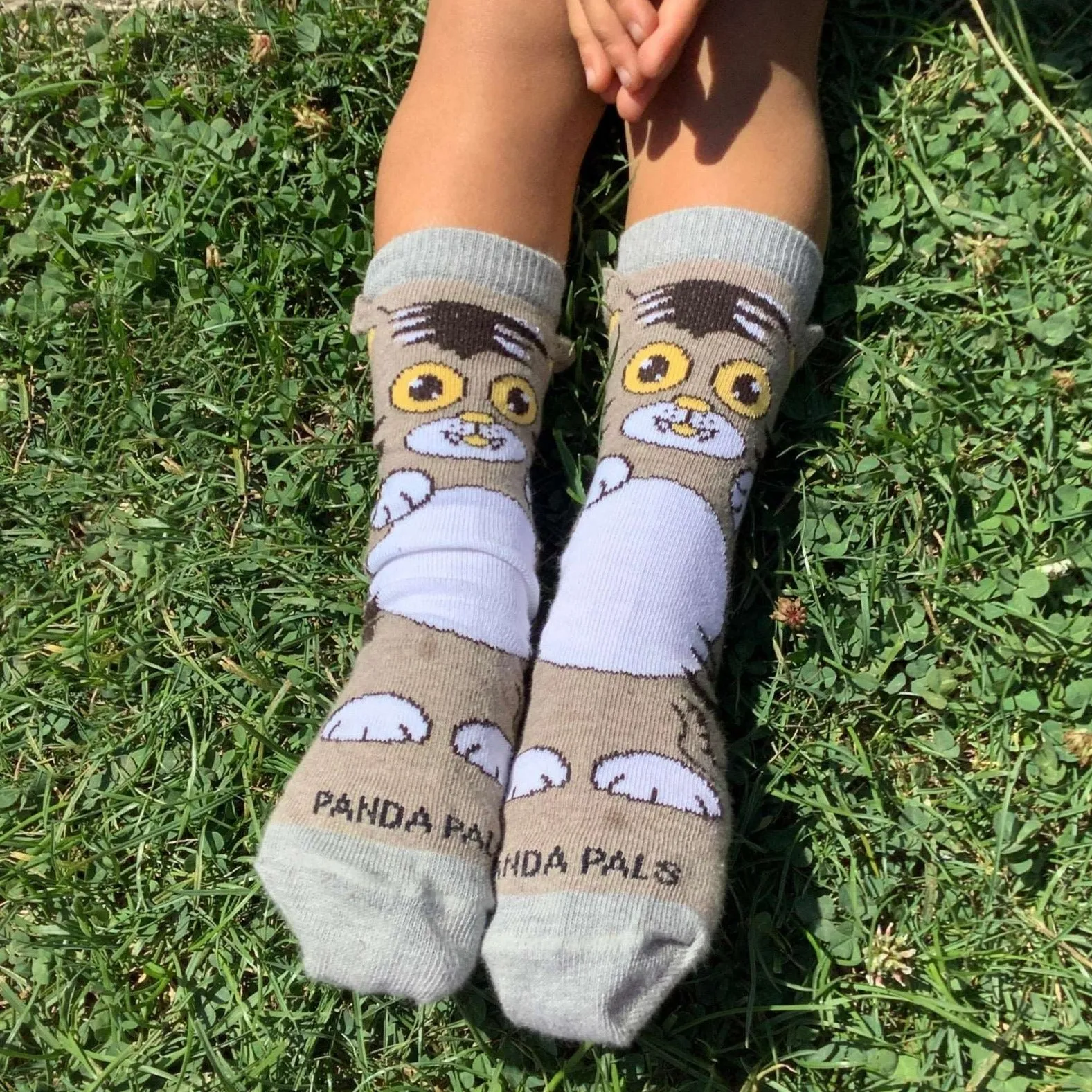 Curious Cat Socks (Ages 3-7) from the Sock Panda