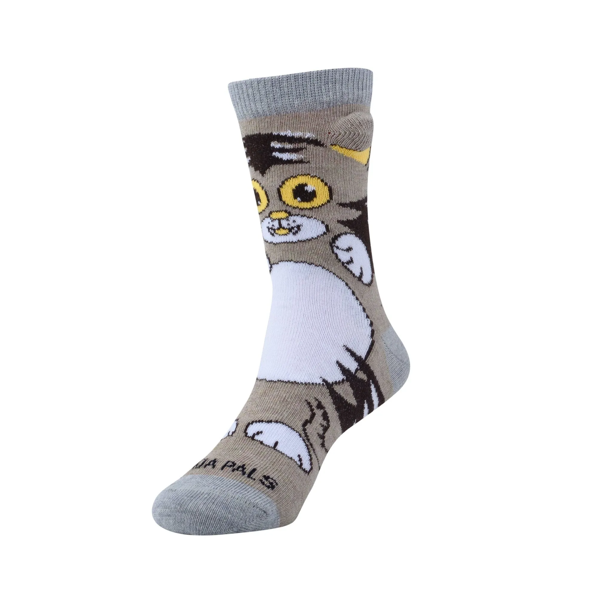 Curious Cat Socks (Ages 3-7) from the Sock Panda