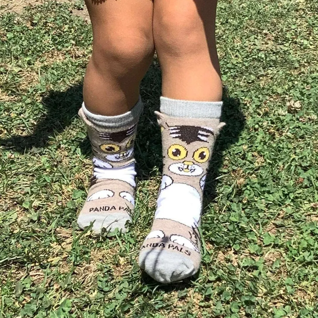 Curious Cat Socks (Ages 3-7) from the Sock Panda