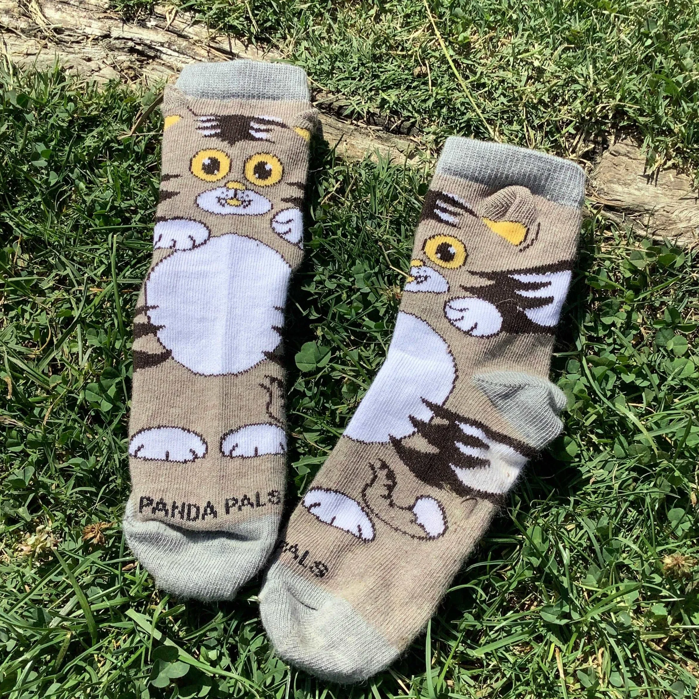 Curious Cat Socks (Ages 3-7) from the Sock Panda